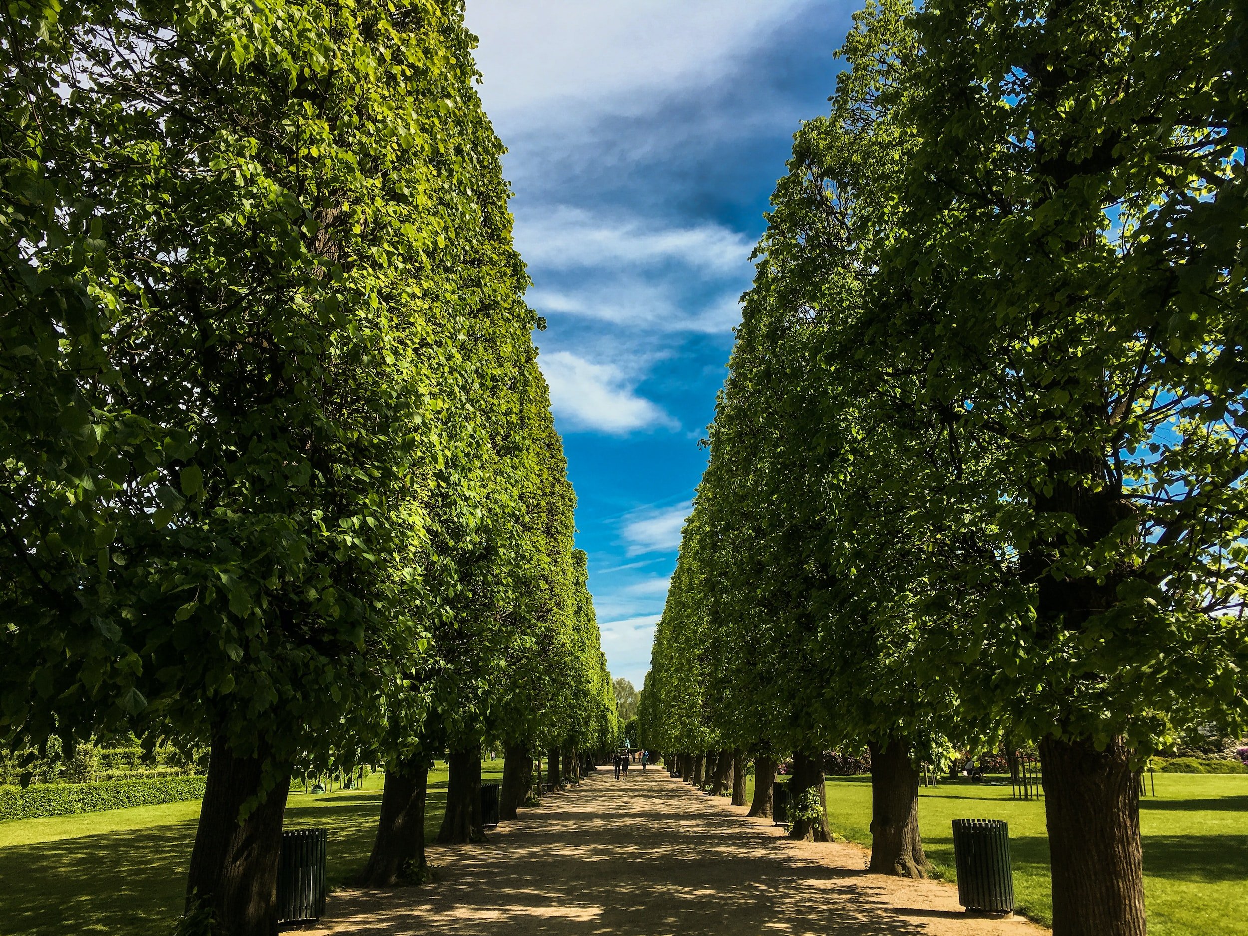 The 11 best parks and gardens to visit in Copenhagen